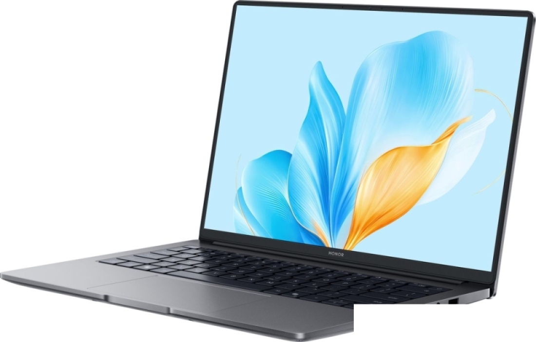 Ноутбук HONOR MagicBook X14 Plus 2025 FRB-X 5301ALYB