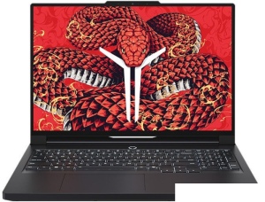 Игровой ноутбук Lenovo Legion R9000P ADR10 83LV0006CD