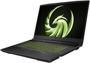 Игровой ноутбук MSI Alpha 17 B5EEK-040XRU