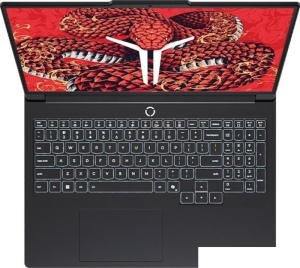 Игровой ноутбук Lenovo Legion R9000P ADR10 83LV0006CD