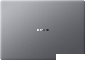 Ноутбук HONOR MagicBook X14 Plus 2025 FRB-X 5301ALYB