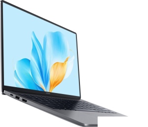 Ноутбук HONOR MagicBook X14 Plus 2025 FRB-X 5301ALYB