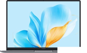 Ноутбук HONOR MagicBook X14 Plus 2025 FRB-X 5301ALYB
