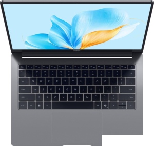 Ноутбук HONOR MagicBook X14 Plus 2025 FRB-X 5301ALYB